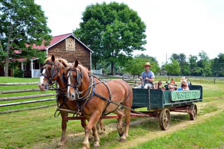 Fall Fun Abounds At Local Farms