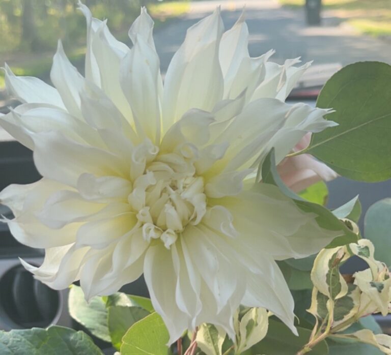 Free Lunch, Meditation And Nature Walk Oct. 23
