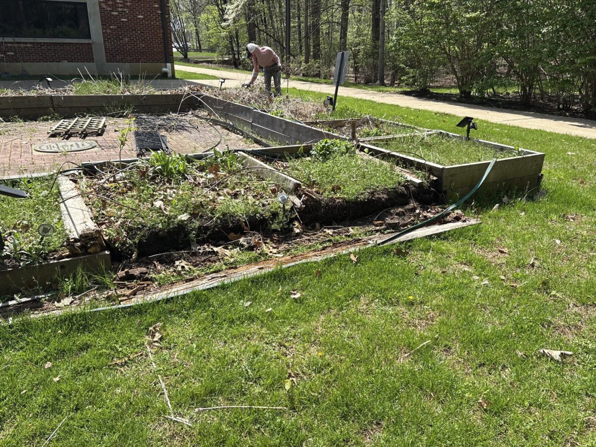Please Help The Butterfly Garden