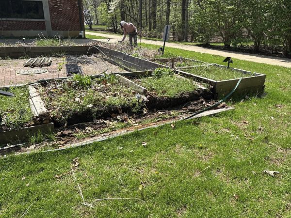 Please Help The Butterfly Garden